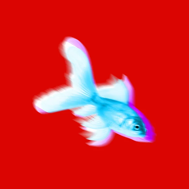 ab67616d0000aa54764077703dd40a86ca9d0c45